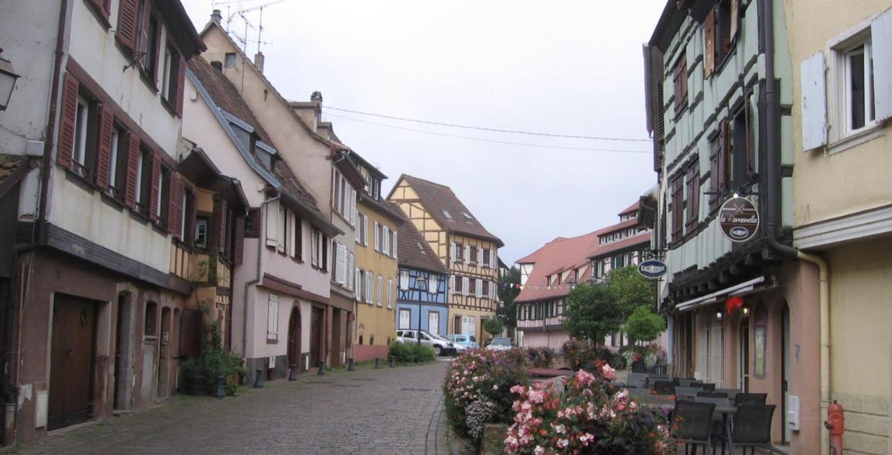 Neuf Et Cosy A Barr, Route Des Vins Apartment Bagian luar foto